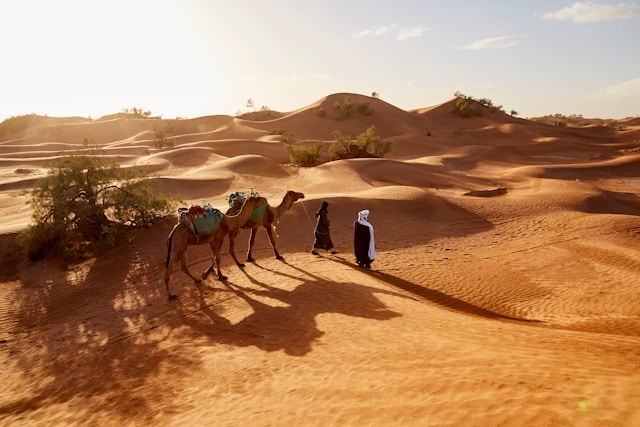 Déserts du Maroc